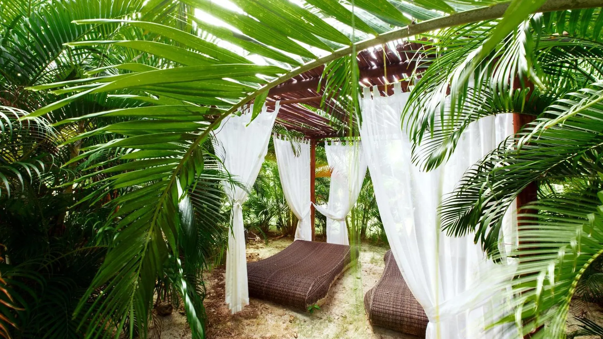 Ducassi Suites Rooftop Pool - Beach Club And Spa Punta Cana Hotel